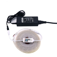WiFi LED Light with Dimming Timing Switch Remote Control Mini Controller Smart Switch Voice Control with Amazon Alexa Google