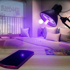 UVC UV Lamp Ultraviolet Light Bulb 3W 110/220V Blacklight