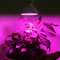 E27 290LED Plant Grow Light Full Spectrum Glowth Lamp Set for Flower Seeds Indoor Greenhouse AC85-265V