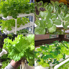 1 Layer Hydroponic Growing Kit 6 Pipes 54 Holes Vertical Style Double Side Water Curlture Set Garden Vegetable Planting System Kit Tools