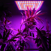 45W 200W Reflector Cup Full Spectrum Led Grow Lights For Grow Tent Box Indoor Greenhouse