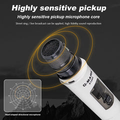 Wireless Microphone Recording Karaoke Handheld With Rechargeable Portable Receiver for Party Home Wedding