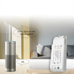 On Off Switch DIY Home Device Smart Remote Control Timing Controler HUB For Smart Home 300W
