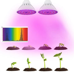 E27 30W LED Grow Light Full Spectrum Plant Lamp Set for Flower Seeds Greenhouse AC85-265V