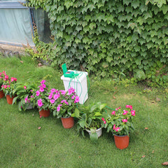 Automatic Micro Home Drip Irrigation Watering Kits System Sprinkler with Smart Controller