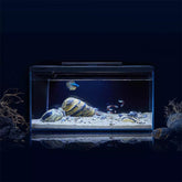 Intelligent Aquariums Smart Lighting System 4 Filtration APP Control Fish Tank with HD Glass Body Modular Function Design