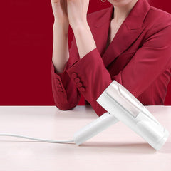 Handheld Portable Garment Steamer 800W Powerful Clothes Steam Iron 100ml Water Tank for Travel Home Dormitory