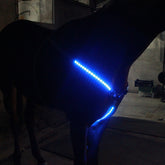 1 Pcs Horse LED Flashing Light Night Horse Chest Belt Luminous Lamp Equestrian Equipment