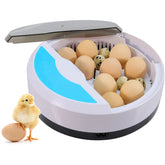 Mini Brooder Small Chicken Bird Egg Hatchers Incubator for Quail Parrot Duck