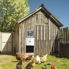 Automatic Chicken Door Opener Kits W/Time Sensor Induction 12'' Wide