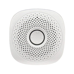 Alarm System APP Remote Control Carbon Monoxide Detector For Smart Home