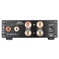 Mini Portable 160W Hi-Fi Digital Stereo Audio Power Amplifier Amp