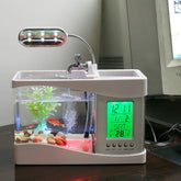 Desktop Fish Tank with LED Clock