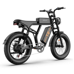 Electric Bike 48V 15.6AH 250W(Peak 1500W) Motor Recommended Top Speed 25KM/H 20inch Fat Tire 160KM Max Mileage 120KG Max Load Electric Bicycle