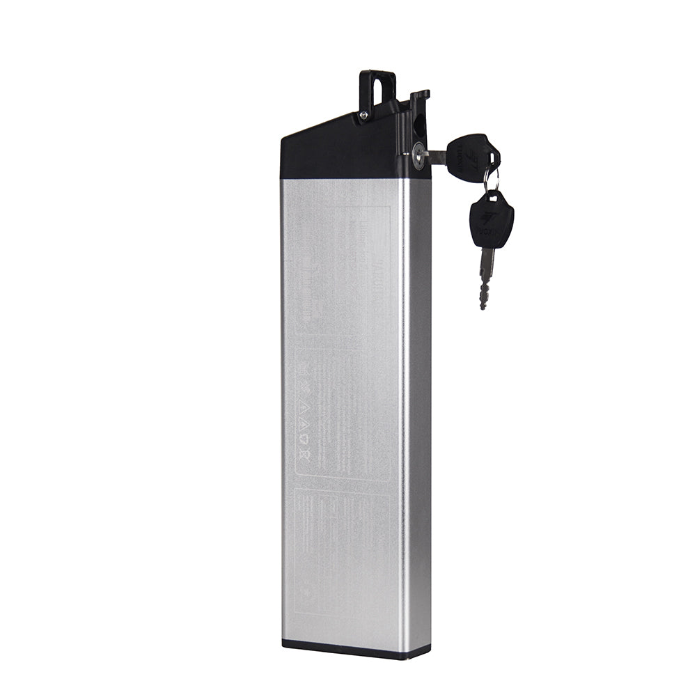 Original 48V 8Ah 250W Battery Electric Bike Battery Lithium Battery With Charger Compatible With RT-730