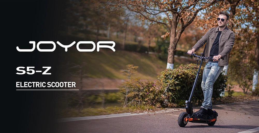 Electric Scooter 48V 13Ah 600W Recommended Top Speed 25KM/H 10inch Folding Moped Electric Scooter 54KM Mileage Max Load 120Kg