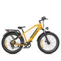 48V 16Ah Electric Bike, 250W Motor, 25KM/H Top Speed, 26*4.0 Inch Fat Tire, 120-140KM Range, All-Terrain Mountain E-Bike