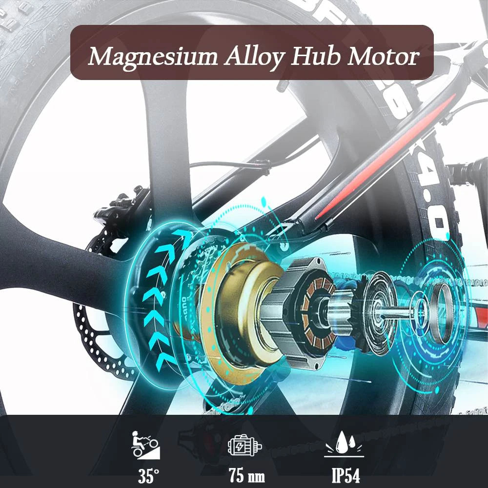 Electric Bike 48V 13.6AH 1000W Electric Bicycle 26 Inch 70-90KM Mileage Range Max Load 150KG