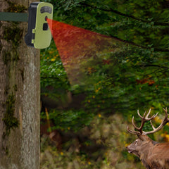 HD Trail Camera WIFI Night Vision Infrared PIR Induction Wildlife Camera Security Hunting Camera Built-in 6000mAh Lithium Battery