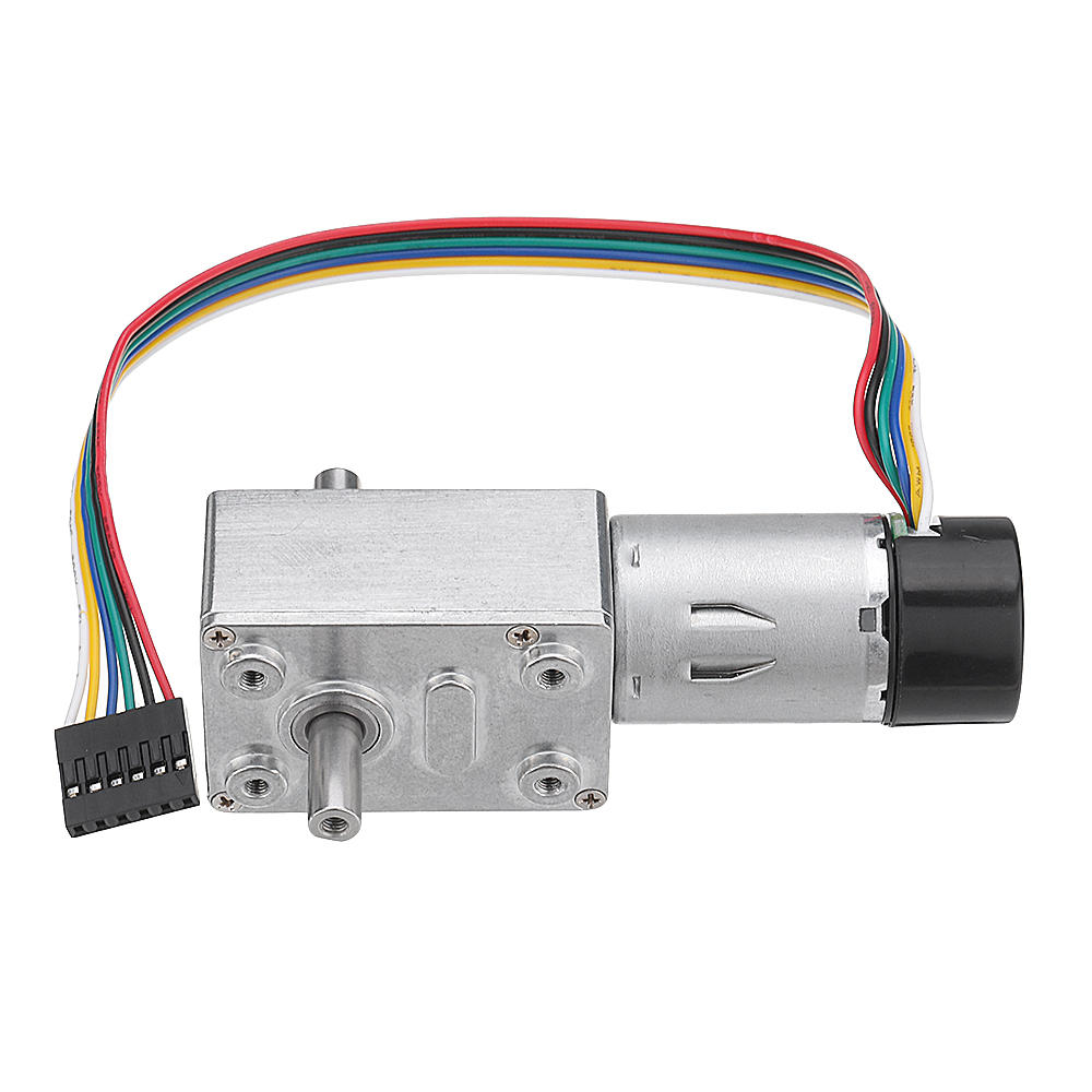 DC 24V Double Shaft Motor Reduction Gear Turbine Worm Self-locking Low Speed Motor
