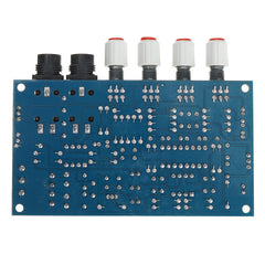 Digital Microphone Amplifier Board Karaoke Reverberation Board Karaoke OK Amplifier Module Dual AC12V