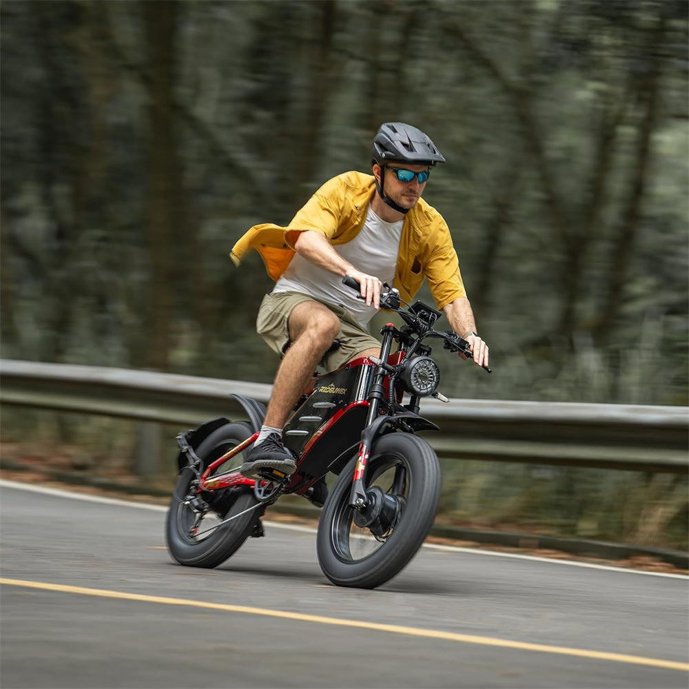 Electric Bike 48V 30AH Battery 1000W*2 Dual Motors Recommended Top Speed 25KM/H 20*4.0inch Tires 90KM Max Mileage 200KG Max Load Electric Bicycle