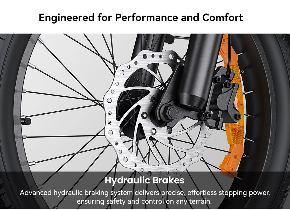 Electric Bicycle 13.5Ah 48V 250W Motor Recommended Top Speed 25KM/H 20 Inches Tire Electric Bike 135km Mileage Max Load 150Kg