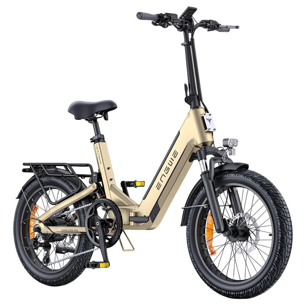 Electric Bicycle 13.5Ah 48V 250W Motor Recommended Top Speed 25KM/H 20 Inches Tire Electric Bike 135km Mileage Max Load 150Kg