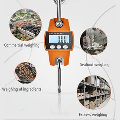 Portable Electronic Crane Scale Industrial Precision Small Hook Scale 300kg