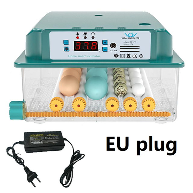 6 Eggs Incubator Egg Incubator Fully Automatic Incubator Household Brooder Temperature Controller with Automatic Turner