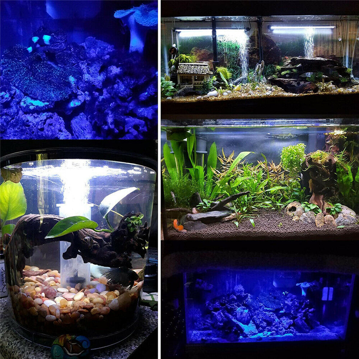 Aquarium Tank Pond LED Strip Lights Bar Lamp Submersible Lights White Blue Fish