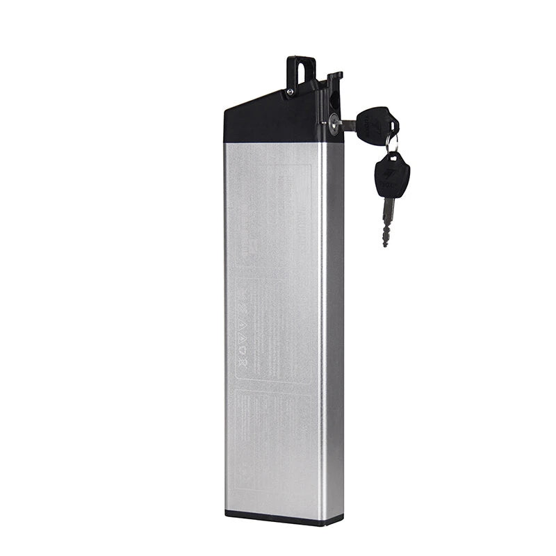 Original 48V 8Ah 250W Battery Electric Bike Battery Lithium Battery With Charger Compatible With RT-730
