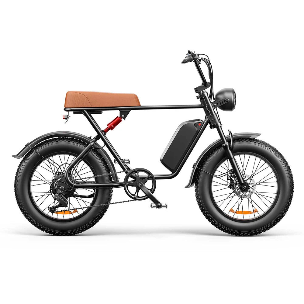 Electric Bike 48V 20AH Battery 1000W Motor Recommended Top Speed 25KM/H 20*4.0inch Tires 80KM Max Range 150KG Max Load Electric Bicycle