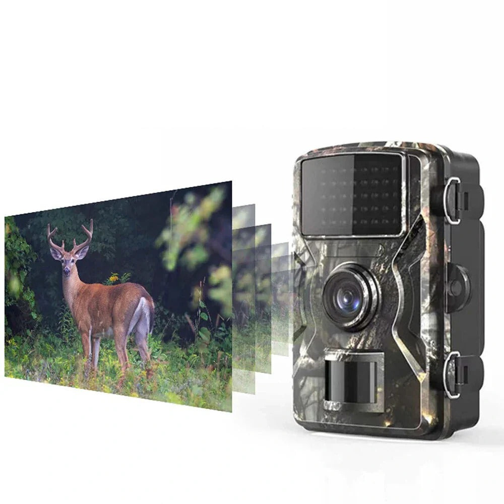 1080P Waterproof Outdoor Hunting Camera with Night Vision, Infrared Motion Sensor for Wildlife Monitoring