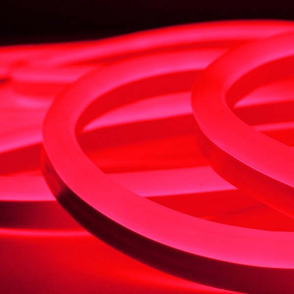 3M 2835 LED Flexible Neon Rope Strip Light Xmas Outdoor Waterproof 220V