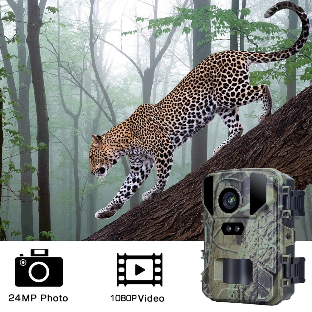Mini 800 24MP HD Wireless Hunting Camera Infrared Night Vision Tracking Cam 1080P Wildlife Observation Cameras