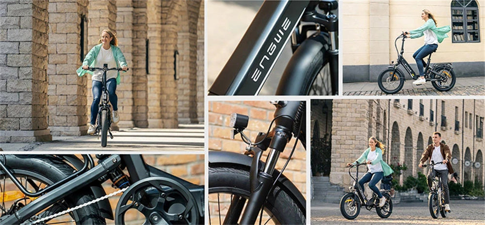 Electric Bicycle 13.5Ah 48V 250W Motor Recommended Top Speed 25KM/H 20 Inches Tire Electric Bike 135km Mileage Max Load 150Kg