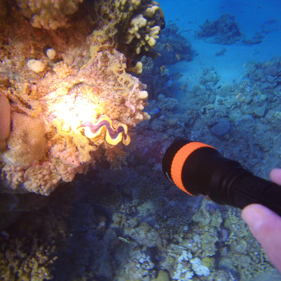 2230LM Underwater 100M Strong Dive Light 6500K Professinal Scuba Diving LED Flashlight with Magnetic Switch Under Water Photography