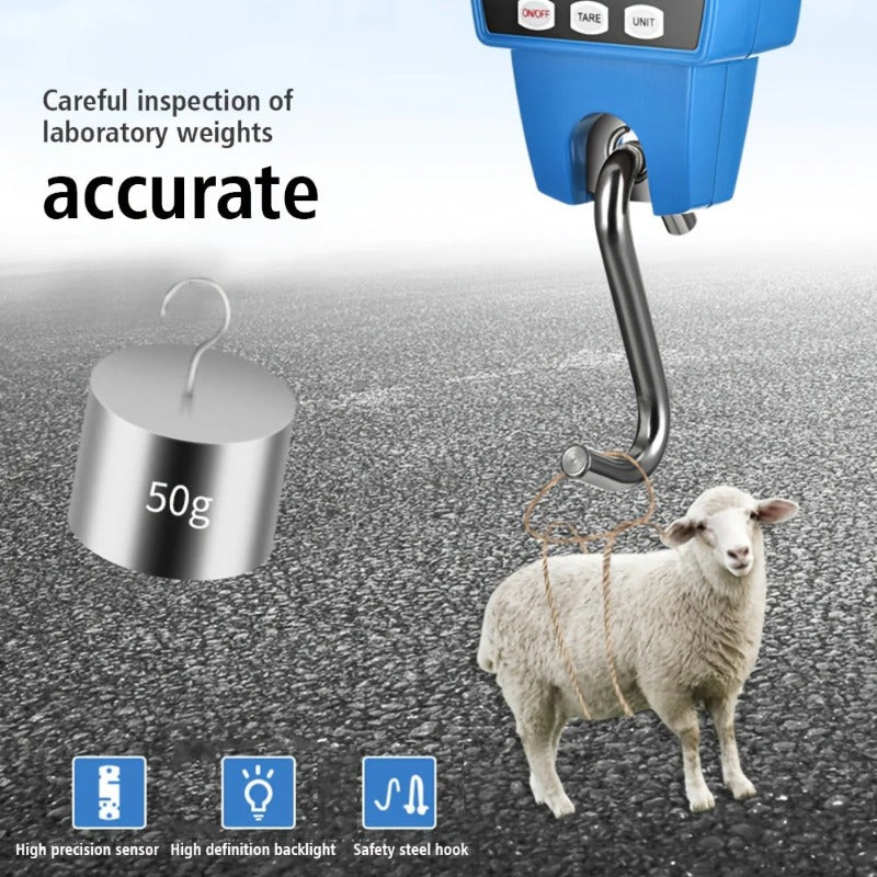Portable Electronic Crane Scale Industrial Precision Small Hook Scale 300kg