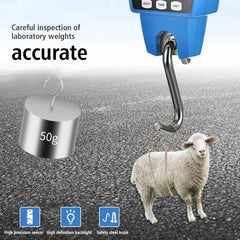 Portable Electronic Crane Scale Industrial Precision Small Hook Scale 300kg