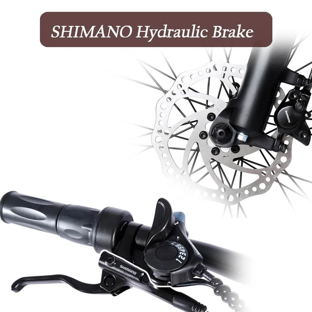 Electric Bike 48V 13.6AH 1000W Electric Bicycle 26 Inch 70-90KM Mileage Range Max Load 150KG