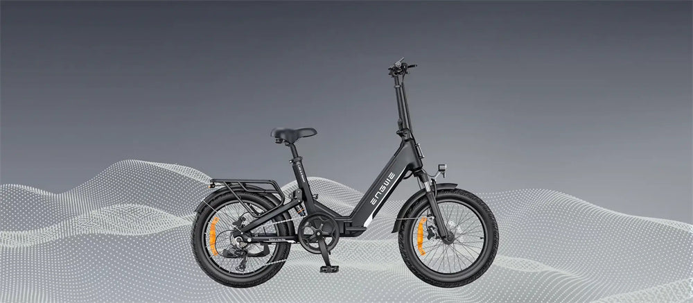 Electric Bicycle 13.5Ah 48V 250W Motor Recommended Top Speed 25KM/H 20 Inches Tire Electric Bike 135km Mileage Max Load 150Kg