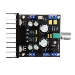 2.0 Dual Channel Stereo Power Amplifier Board with Switch Small and Medium Power Amplifier