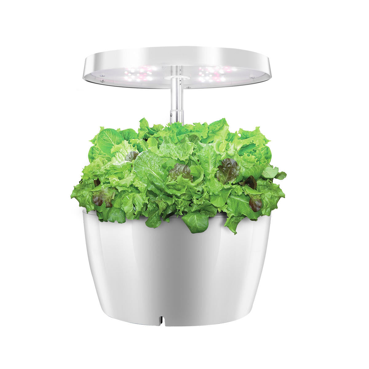 Indoor Plant Hydroponics Grow light Soilless Cultivation Plant Grow Light Lamp For Plant Indoor Nursery Flower Fruit Veg