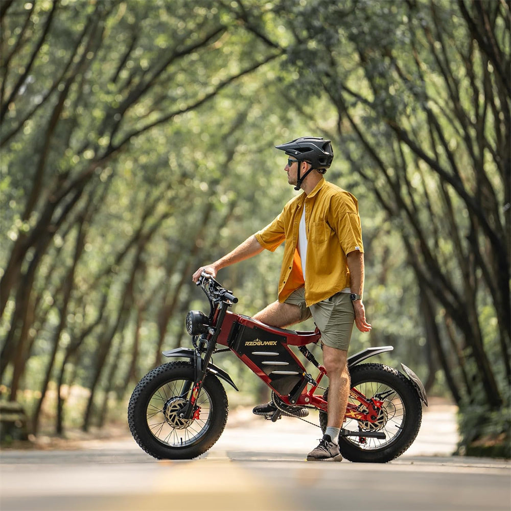 Electric Bike 48V 30AH Battery 1000W*2 Dual Motors Recommended Top Speed 25KM/H 20*4.0inch Tires 90KM Max Mileage 200KG Max Load Electric Bicycle