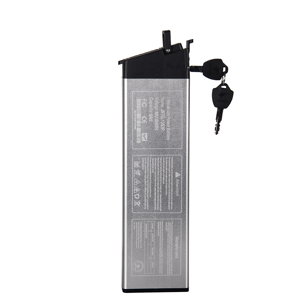 Original 48V 8Ah 250W Battery Electric Bike Battery Lithium Battery With Charger Compatible With RT-730