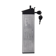 Original 48V 8Ah 250W Battery Electric Bike Battery Lithium Battery With Charger Compatible With RT-730