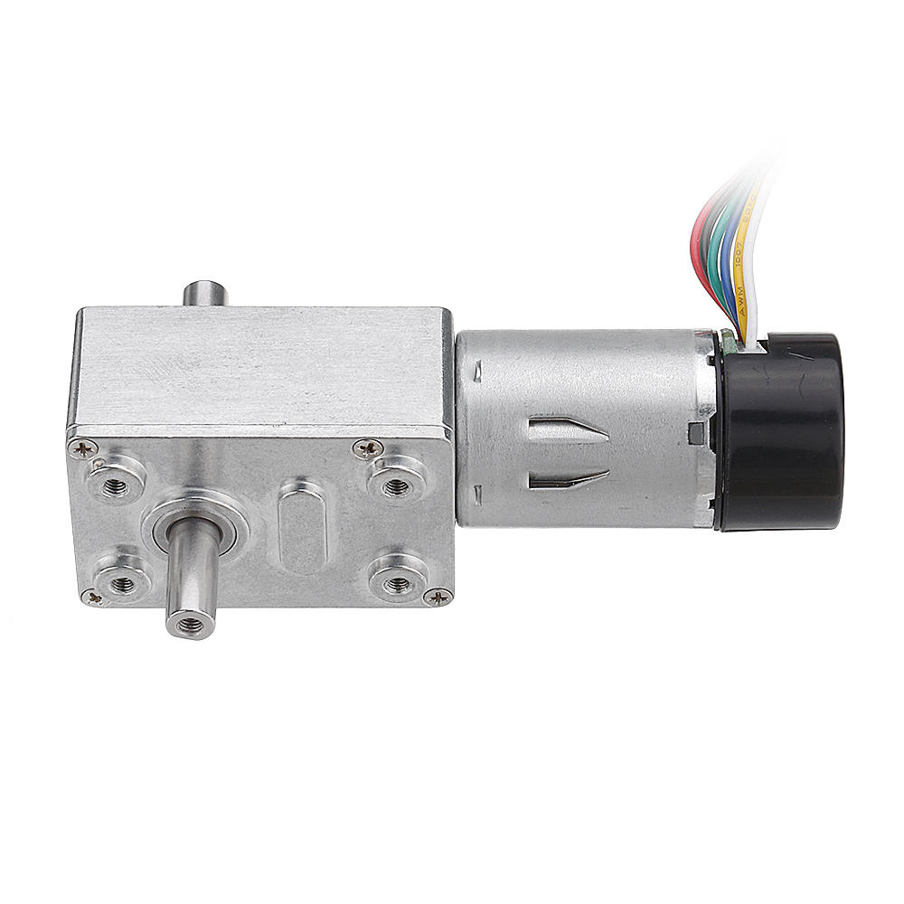 DC 24V Double Shaft Motor Reduction Gear Turbine Worm Self-locking Low Speed Motor