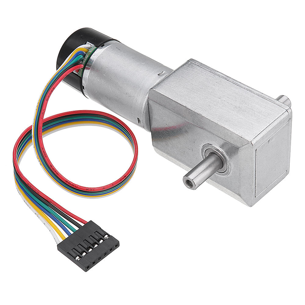 DC 24V Double Shaft Motor Reduction Gear Turbine Worm Self-locking Low Speed Motor