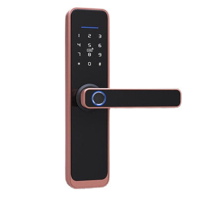 WiFi Smart Lock Core Cylinder Intelligent Security Door Lock Bluetooth Double Lock Body Encryption with Keys Work with Smart Life APP